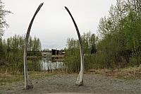 IMG 2294
