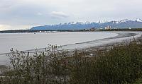 IMG 2338
