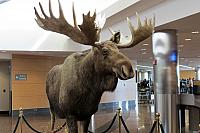 IMG 2355