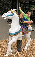 IMG 2526