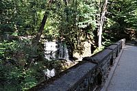 IMG 2577