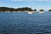IMG 2778