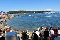IMG 2784