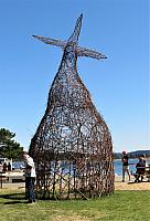 IMG 2801