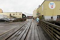 IMG 2884