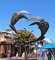 IMG 3013