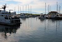 IMG 3081