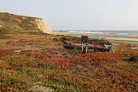 IMG 3244