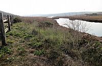 IMG 3254
