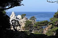 IMG 3388