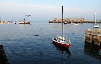 IMG 3467