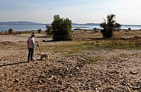 IMG 3123