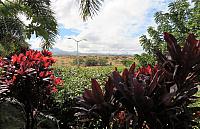IMG 3533