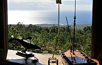 IMG 3538