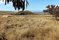 IMG 3566
