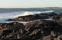 IMG 3604