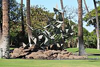 IMG 3611