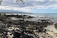 IMG 3639