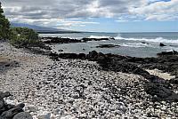 IMG 3649