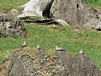 IMG 3736