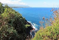 IMG 3774
