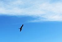 IMG 3781