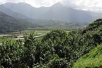 IMG 3797