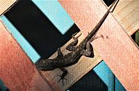 IMG 3850