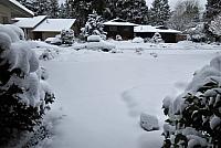 IMG 3879