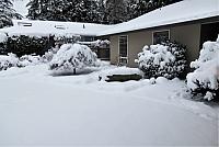 IMG 3881