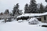 IMG 3882