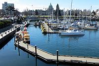 IMG 3940