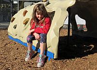 IMG 3953