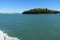 IMG 4114