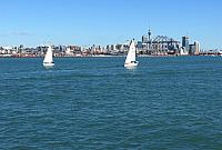 IMG 4121