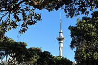 IMG 4176