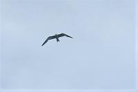 IMG 4469