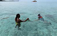 IMG 4477