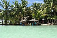 IMG 4542