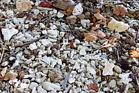 IMG 4775