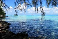 IMG 4780