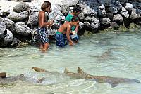 IMG 4790