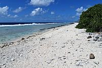 IMG 4813