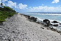 IMG 4817