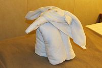 IMG 4864