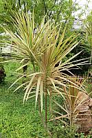 IMG 4319