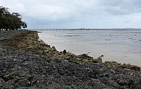 IMG 4332