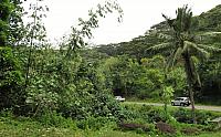IMG 4975
