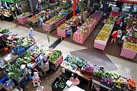 IMG 4596