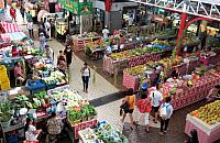 IMG 4598